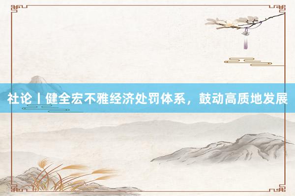 社论丨健全宏不雅经济处罚体系，鼓动高质地发展