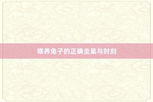 喂养兔子的正确圭臬与时刻