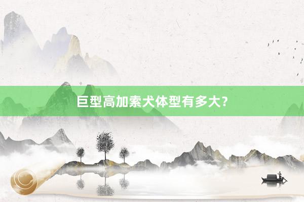 巨型高加索犬体型有多大？
