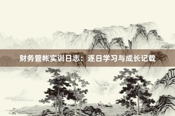 财务管帐实训日志：逐日学习与成长记载